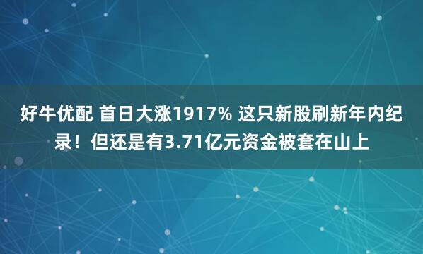 好牛优配 首日大涨1917% 这只新股刷新年内纪录！但还是有3.71亿元资金被套在山上