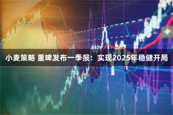小麦策略 重啤发布一季报：实现2025年稳健开局