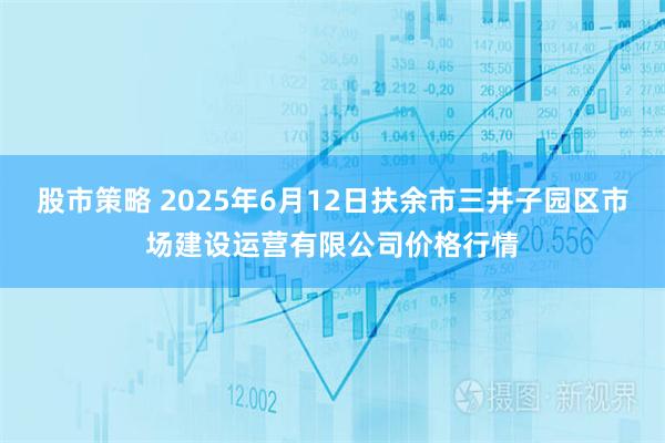 股市策略 2025年6月12日扶余市三井子园区市场建设运营有限公司价格行情